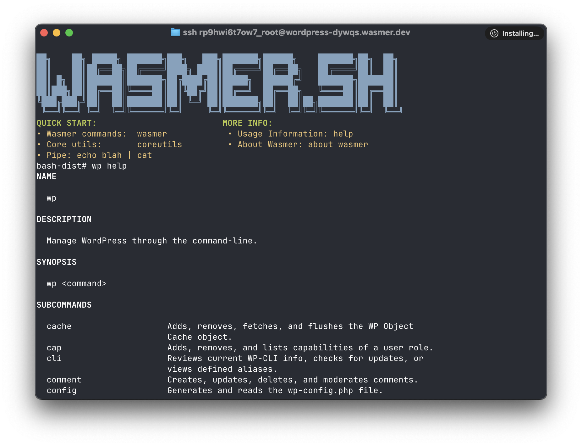 SSH terminal session running wp help