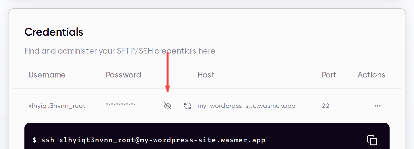 SSH credentials with password reveal and copyable SSH command